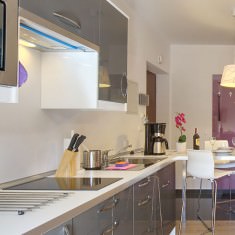 nowoczesny aneks kuchenny w apartamencie Zakopane New York