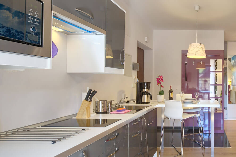 nowoczesny aneks kuchenny w apartamencie Zakopane New York