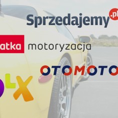 Porównanie motoryzacyjnych serwisów ogłoszeniowych